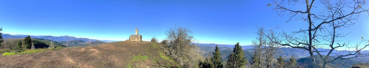 Tontorra