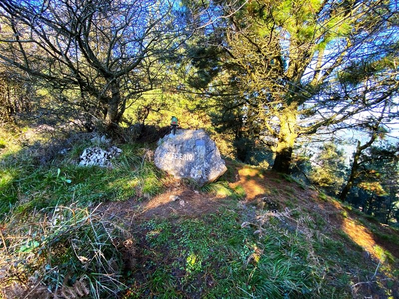 Tontorra