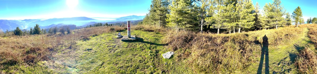 Tontorra
