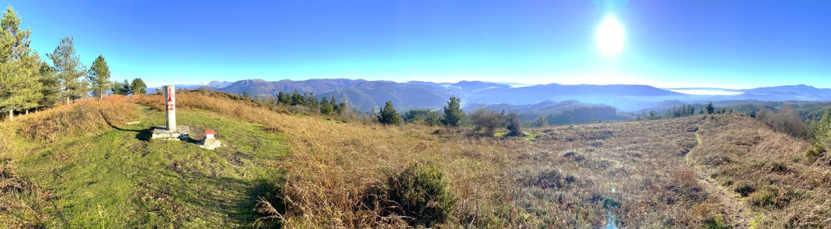 Tontorra