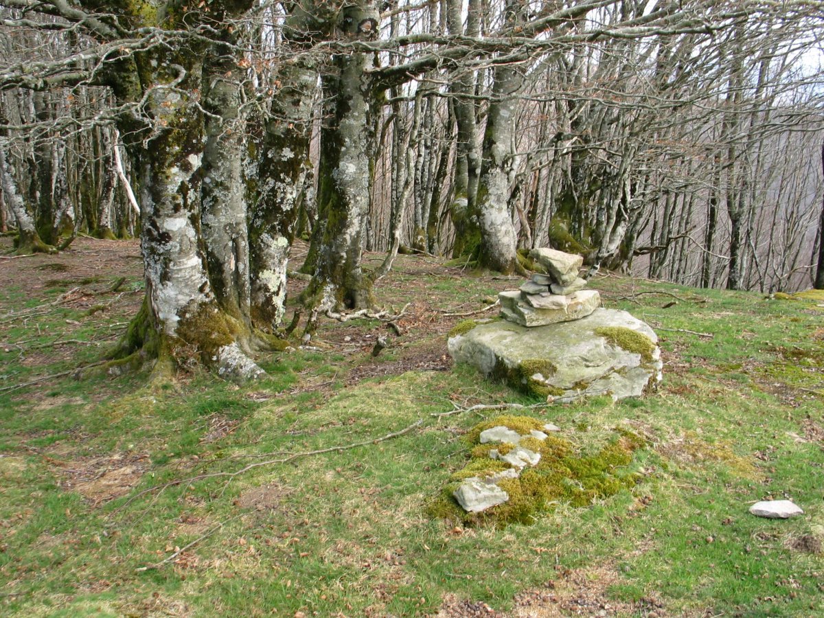 Unboto tontorra