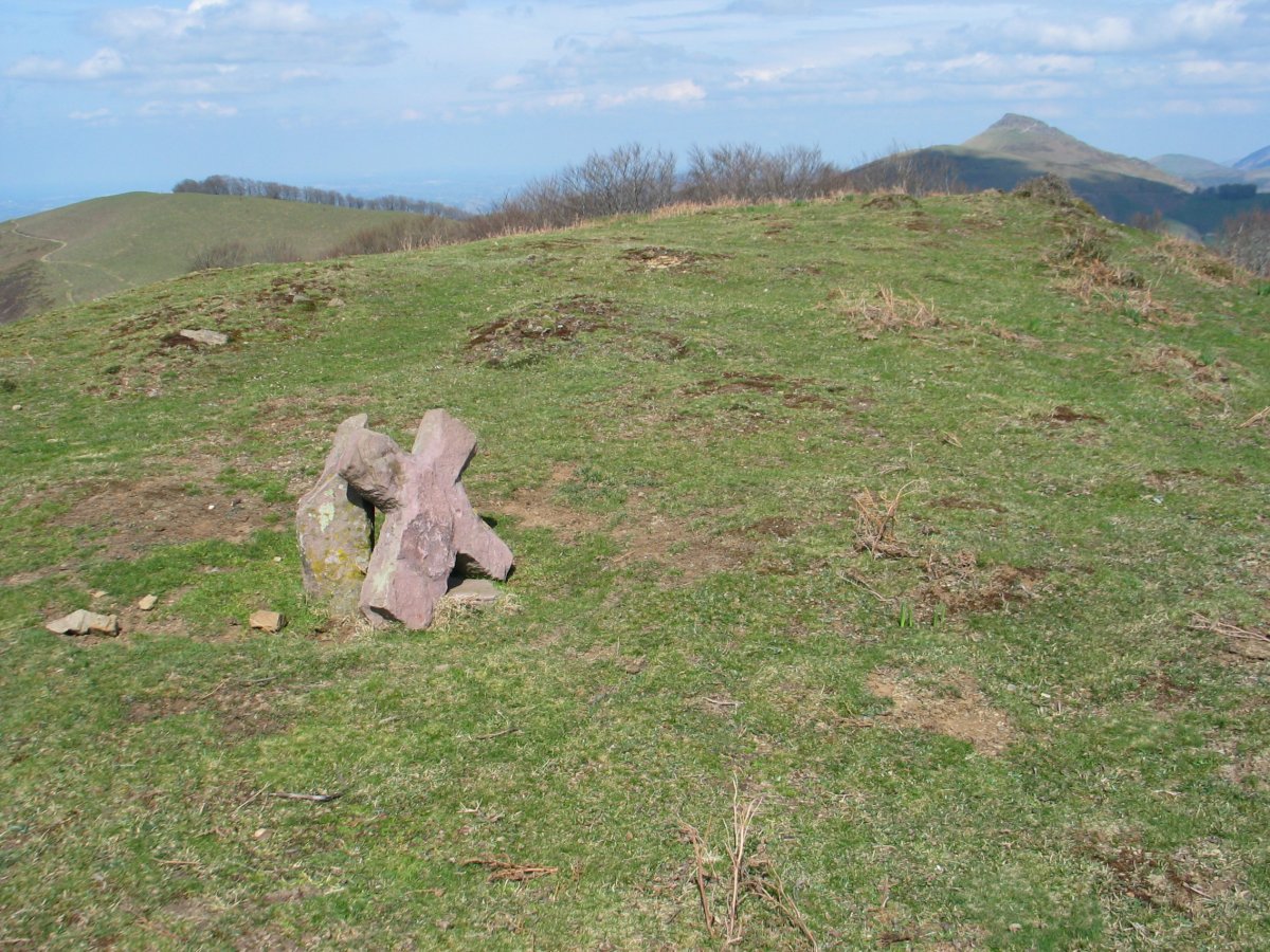 Larrondo gaina