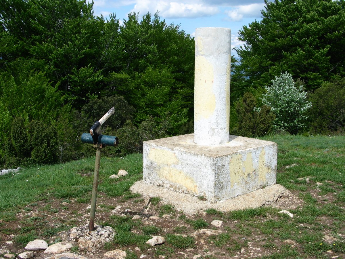 Arrieta tontorra