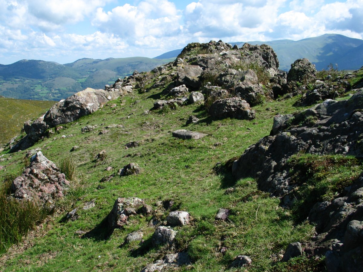 Handiaga tontorra