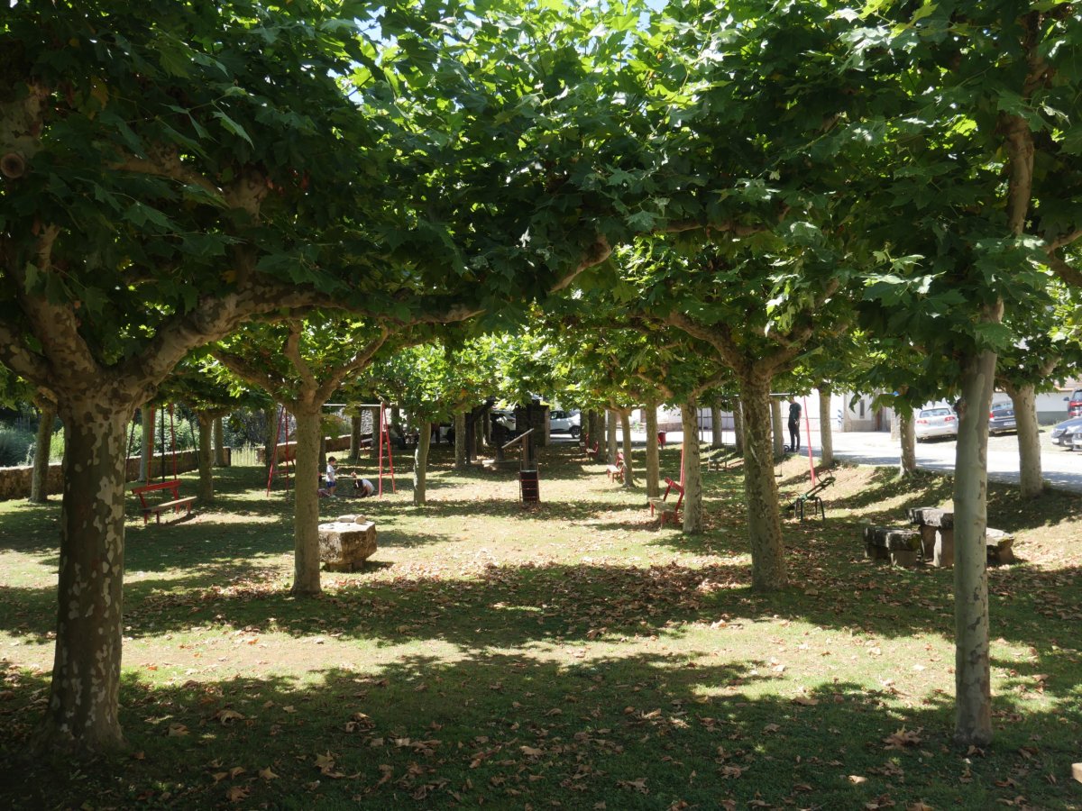 Parkea, Itzaltzu