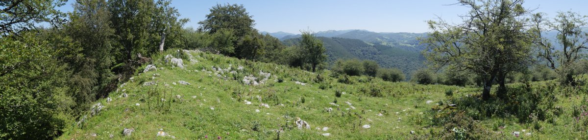 Pagoeta tontorra