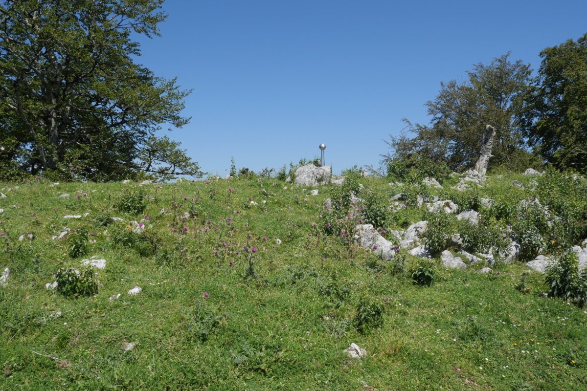 Pagoeta tontorra