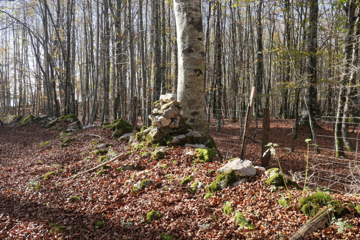 Saldisgain tontorra