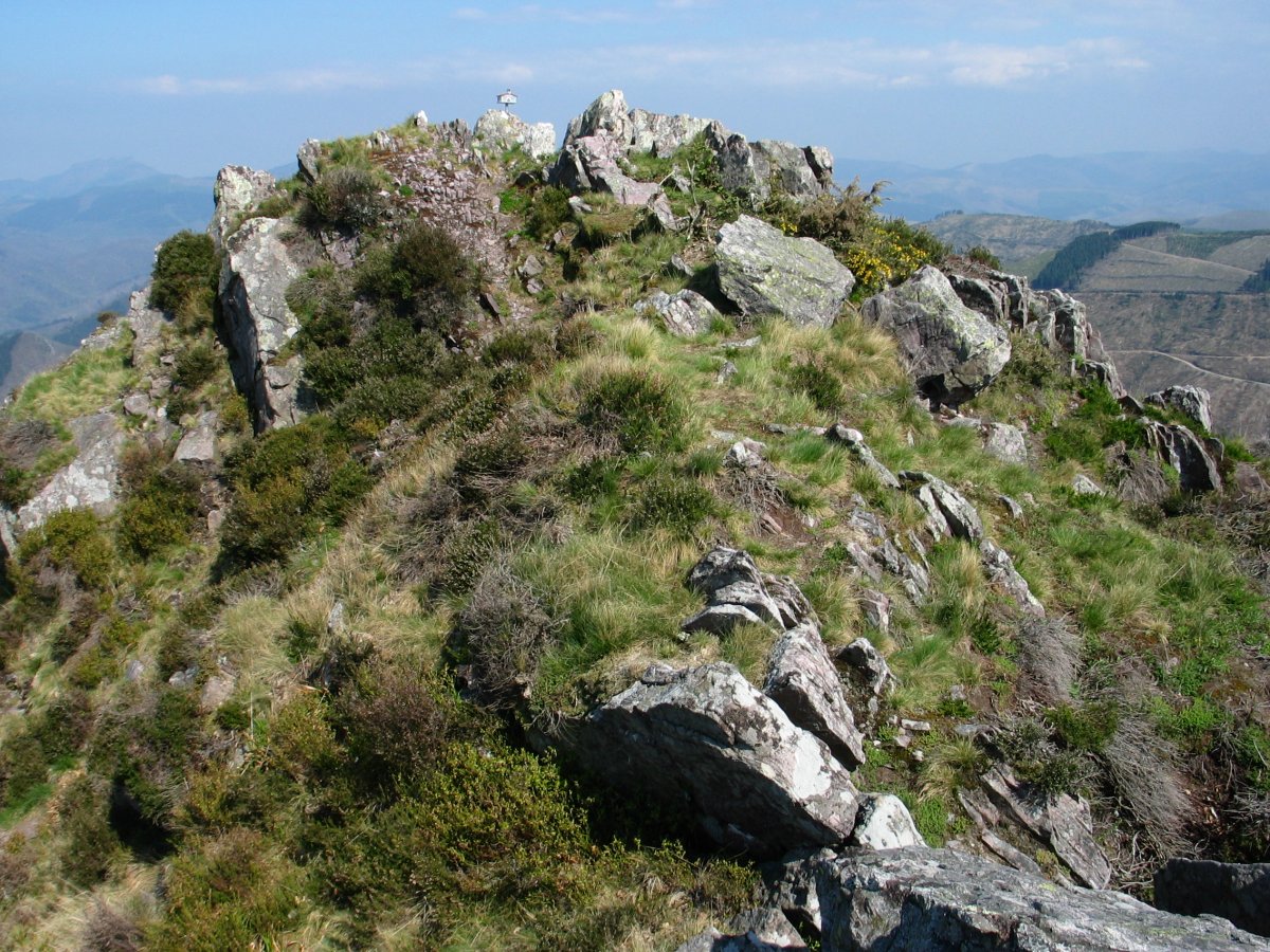 Zaburu tontorra