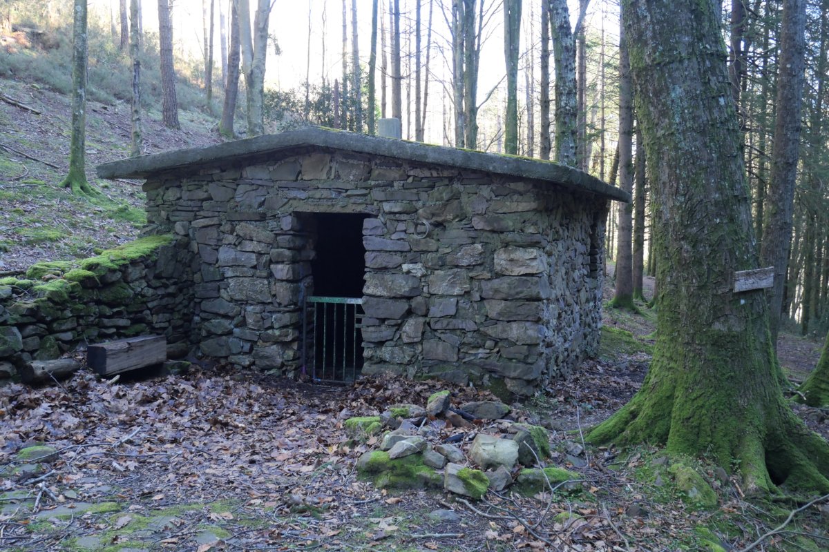 Urdausulbigo borda