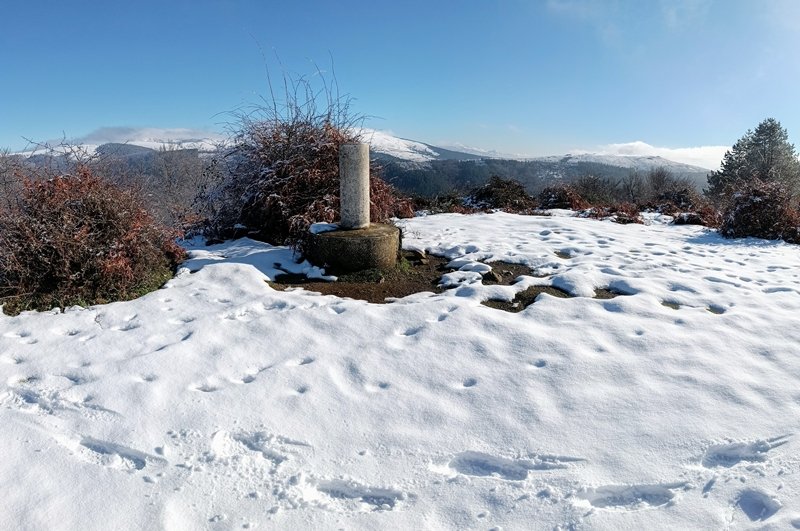 Tontorra