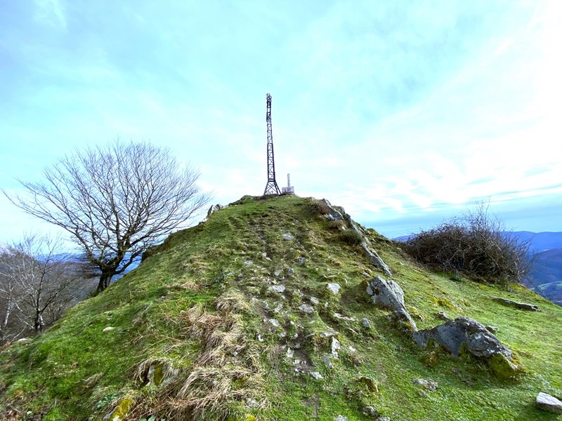 Tontorra