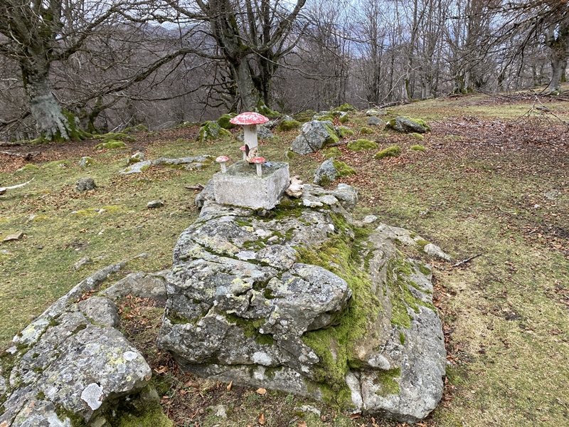 Tontorra