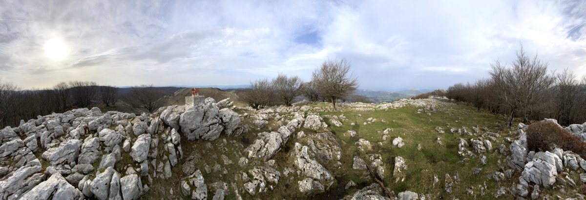 Tontorra