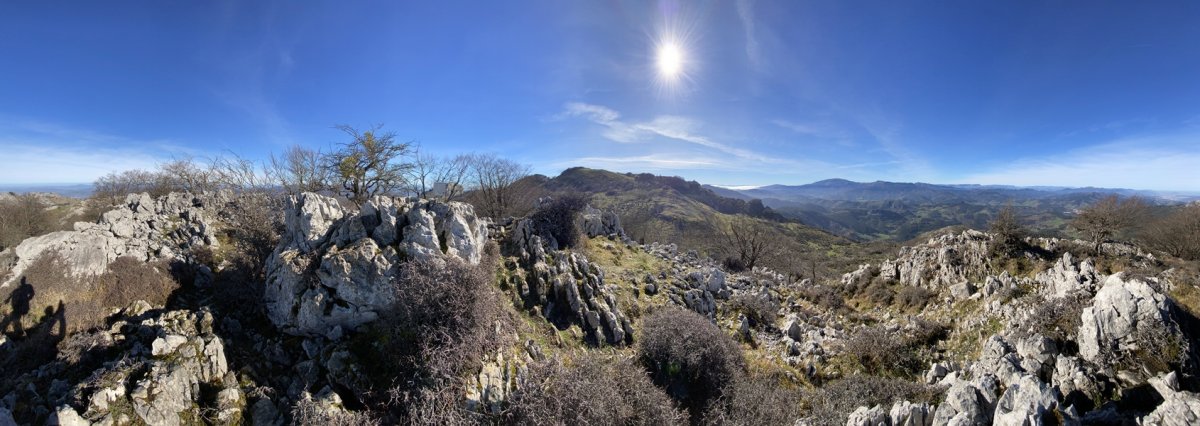 Tontorra