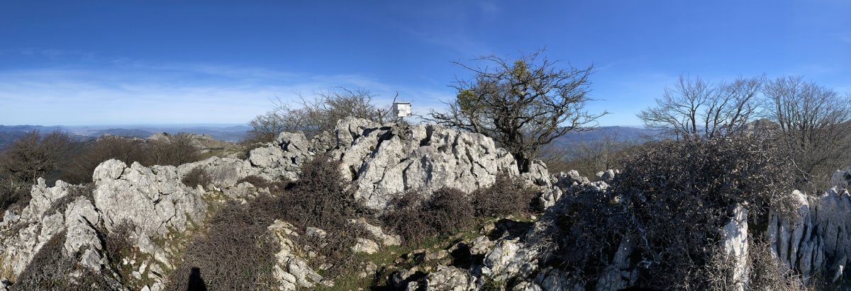 Tontorra