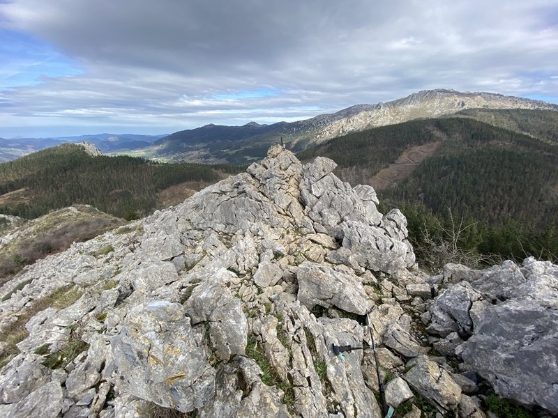 Tontorra