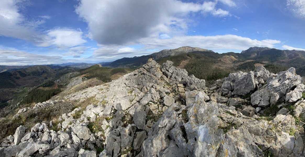 Tontorra