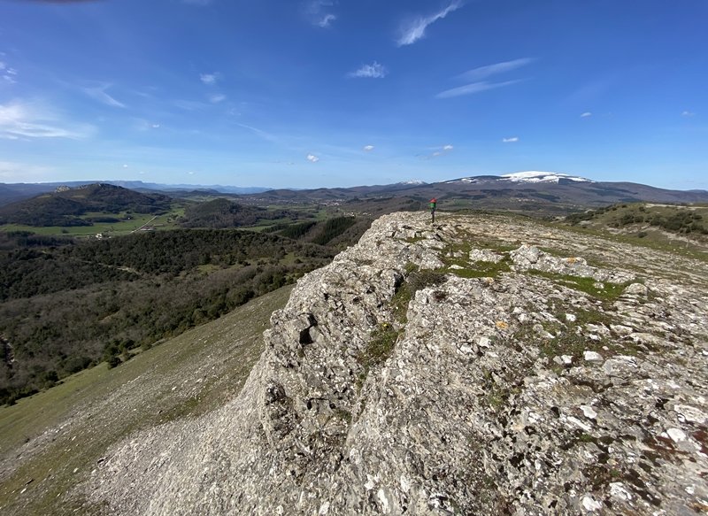 Tontorra