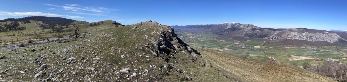 Tontorra
