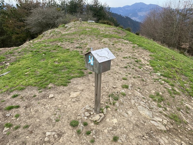 Buzoia