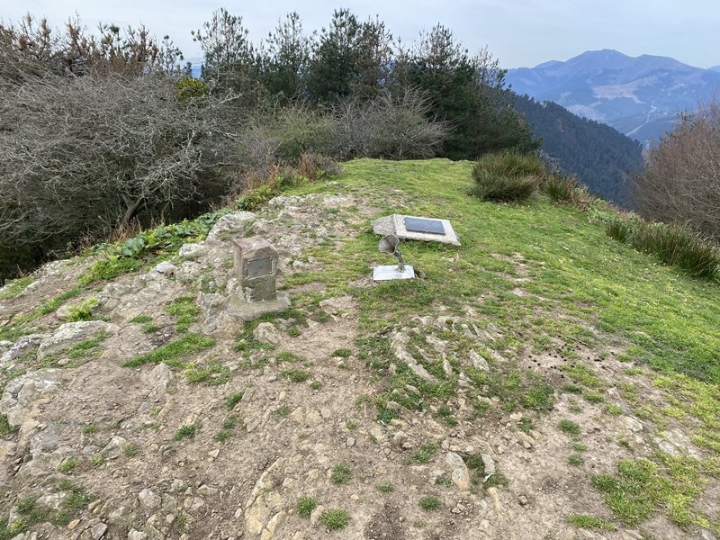Tontorra