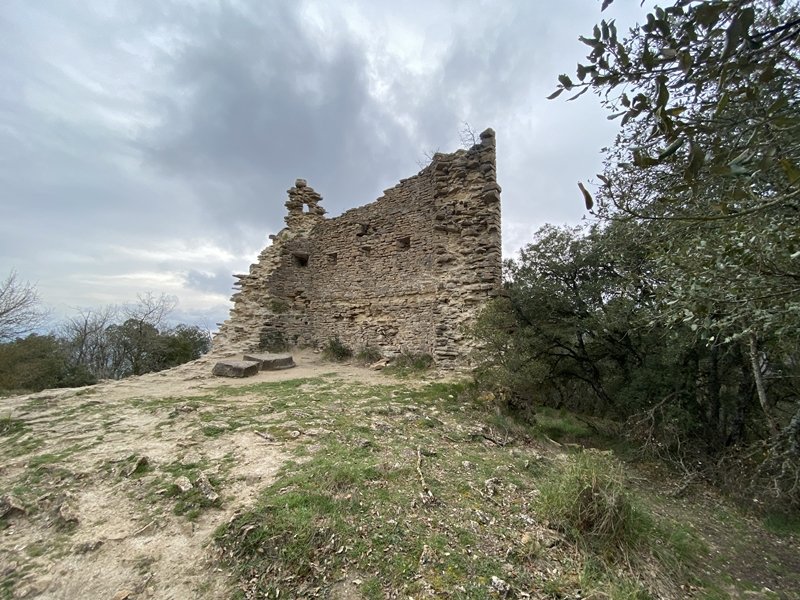 Tontorra