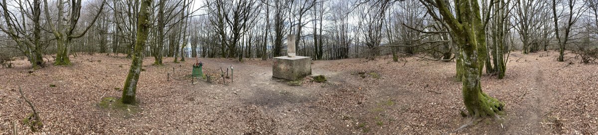 Tontorra