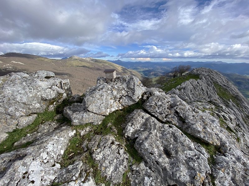 Tontorra