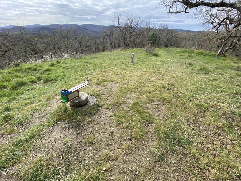 Tontorra