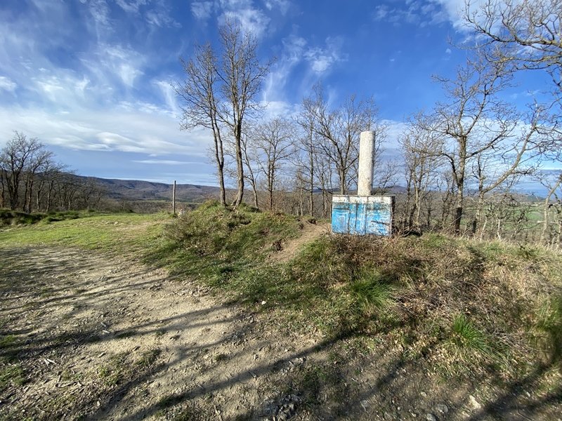 Tontorra