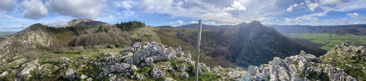 Tontorra