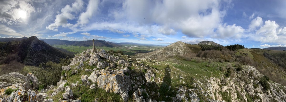 Tontorra