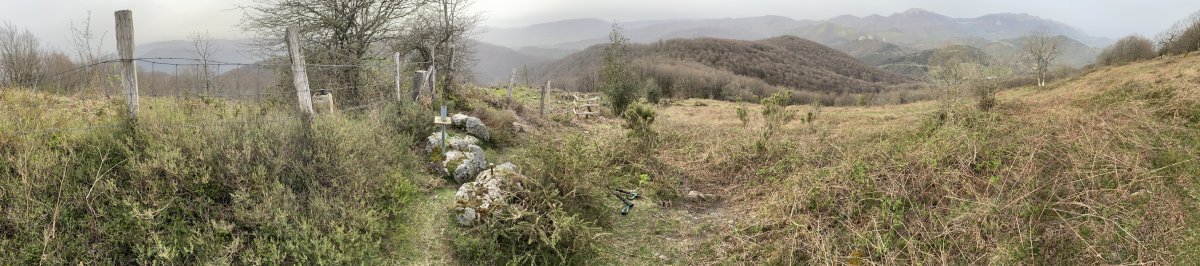 Tontorra