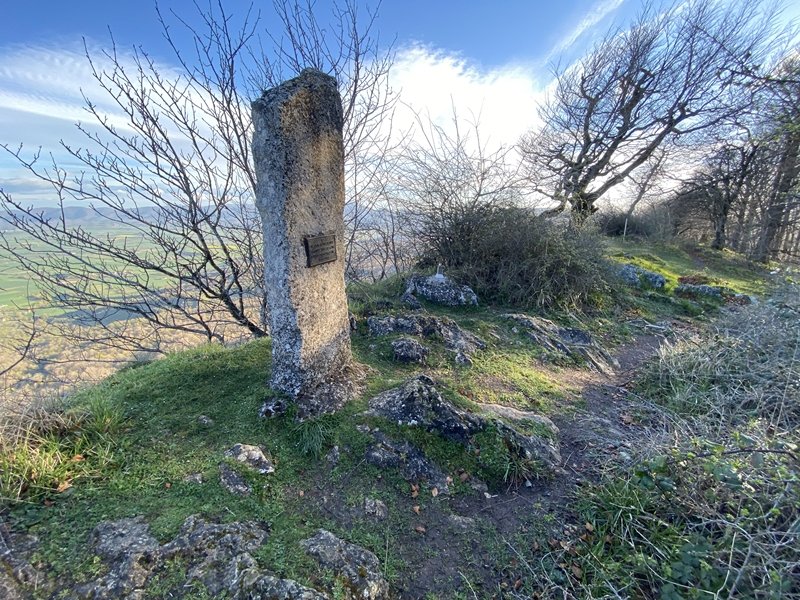 Tontorra
