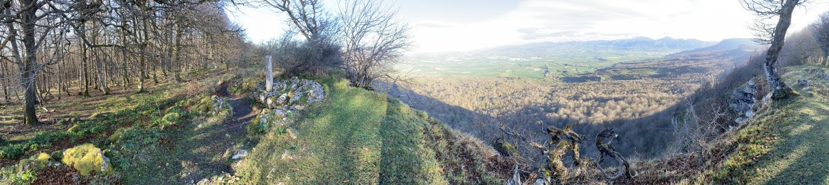Tontorra