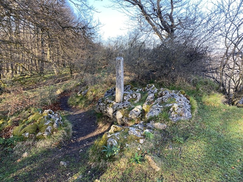 Tontorra