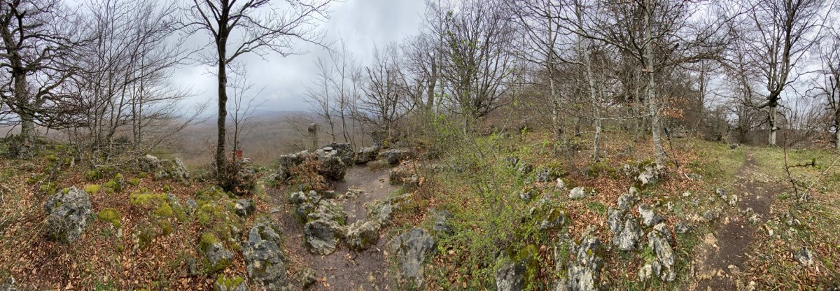 Tontorra