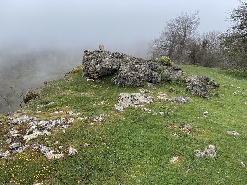 Tontorra