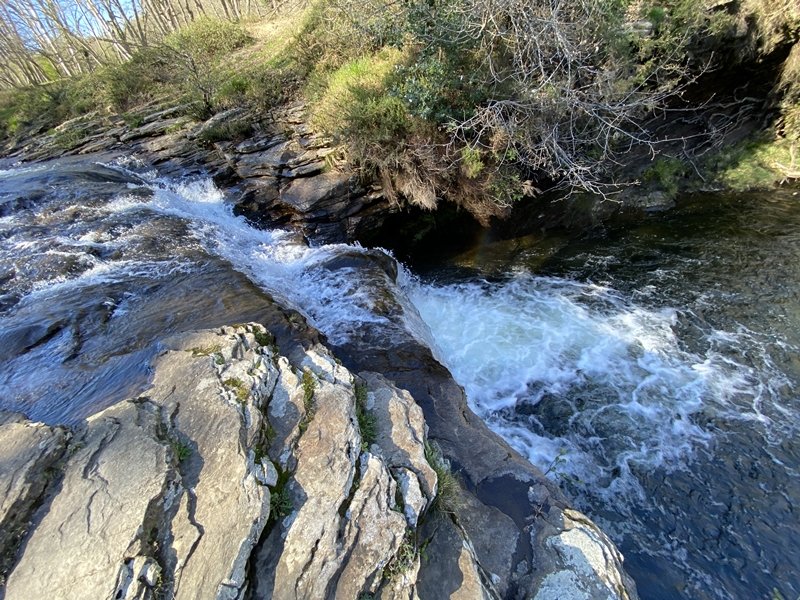 Zaldibartxo