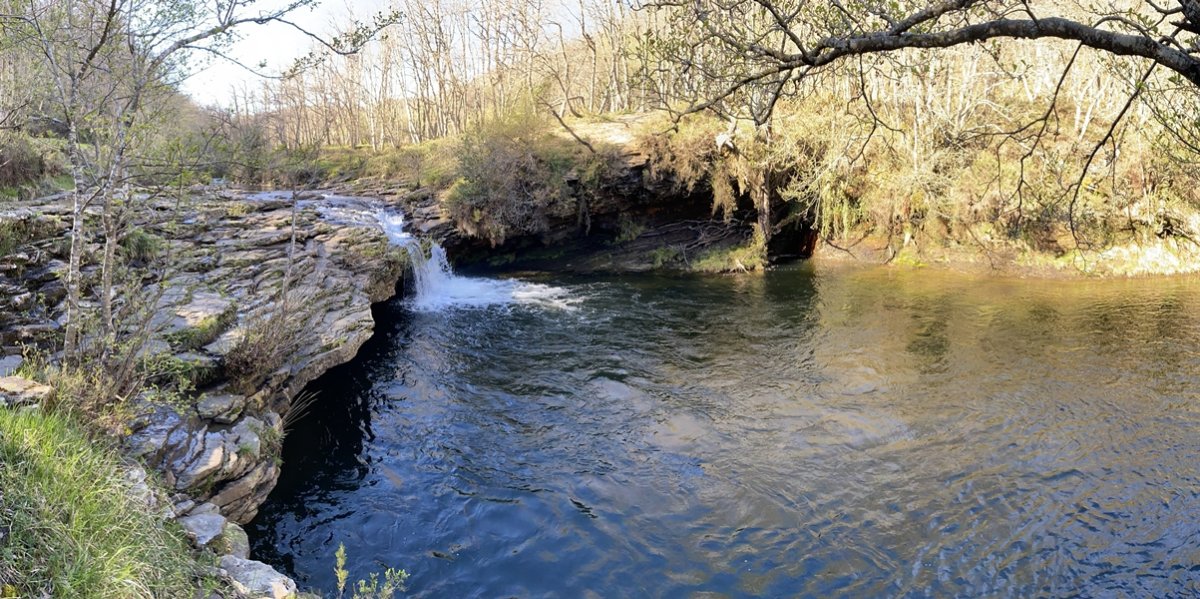 Zaldibartxo