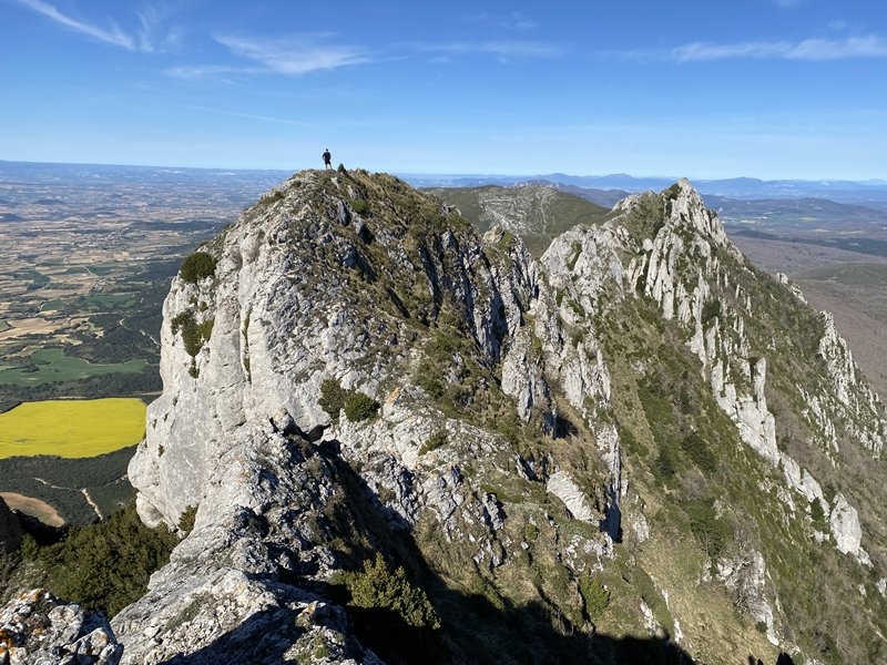 Tontorra