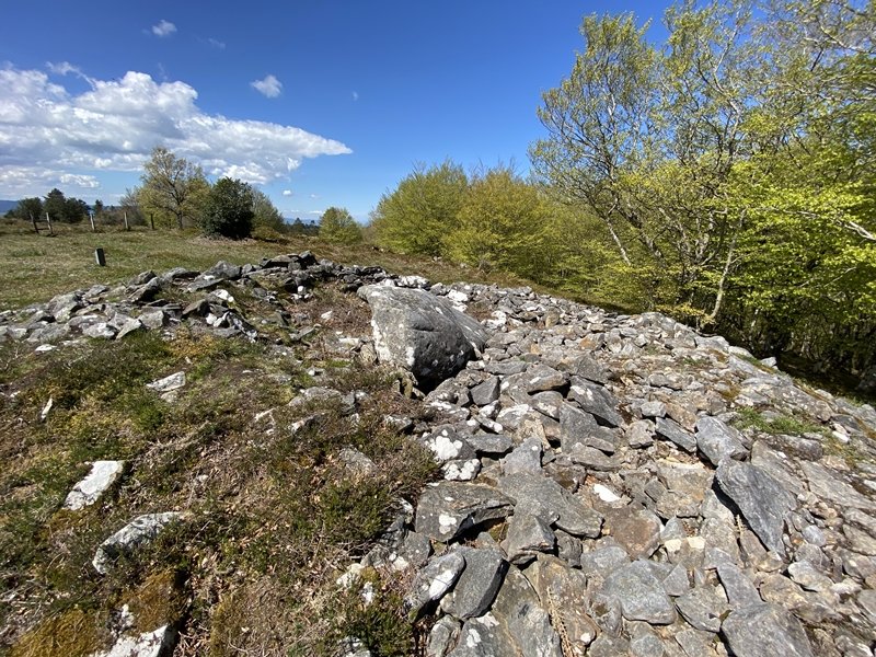 Tontorra
