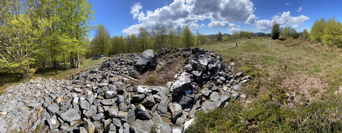 Tontorra
