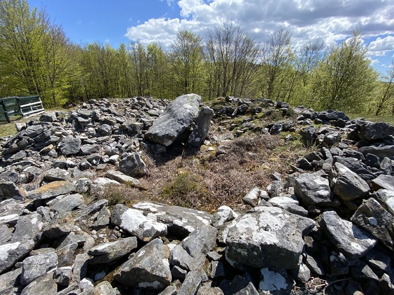 Tontorra
