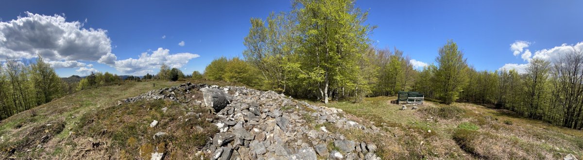 Tontorra
