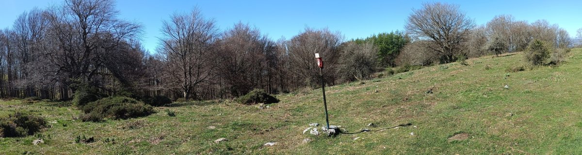 Tontorra