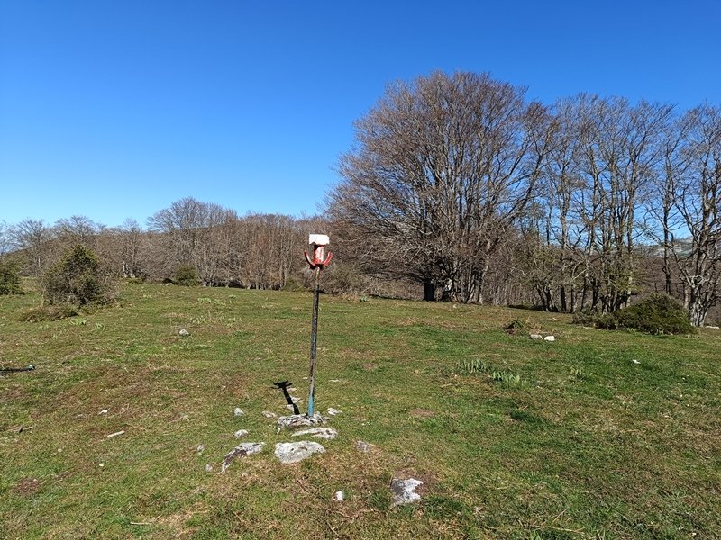 Tontorra