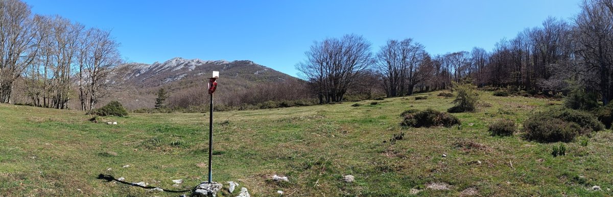 Tontorra