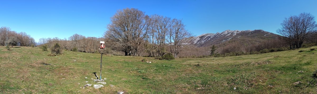 Tontorra